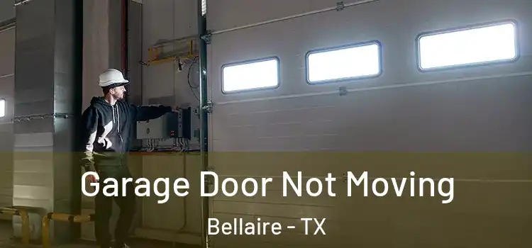  Garage Door Not Moving Bellaire - TX