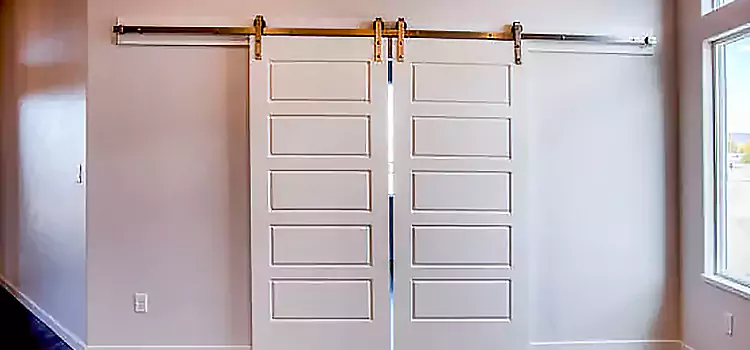 Glass Barn Door with Installation Hardware Kit Bellaire